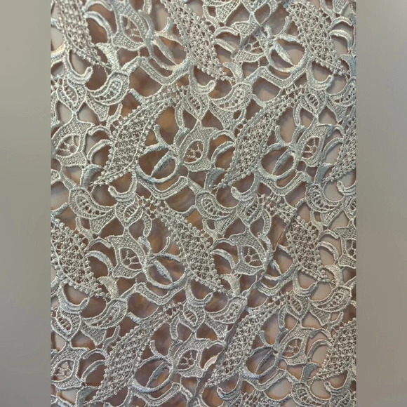 Lauren Ralph Lauren Blush Pink Lace Cut Out Scoop Neck Cap Sleeve Dress Size 2 - Picture 5 of 5